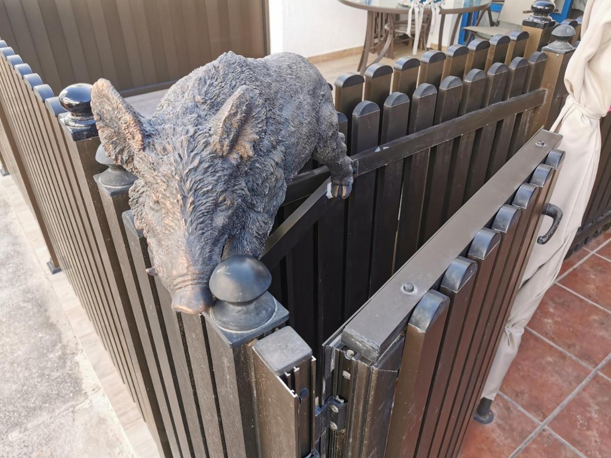 Casa Guapa Maspalomas Playa De L'Ingles Zewnętrze zdjęcie